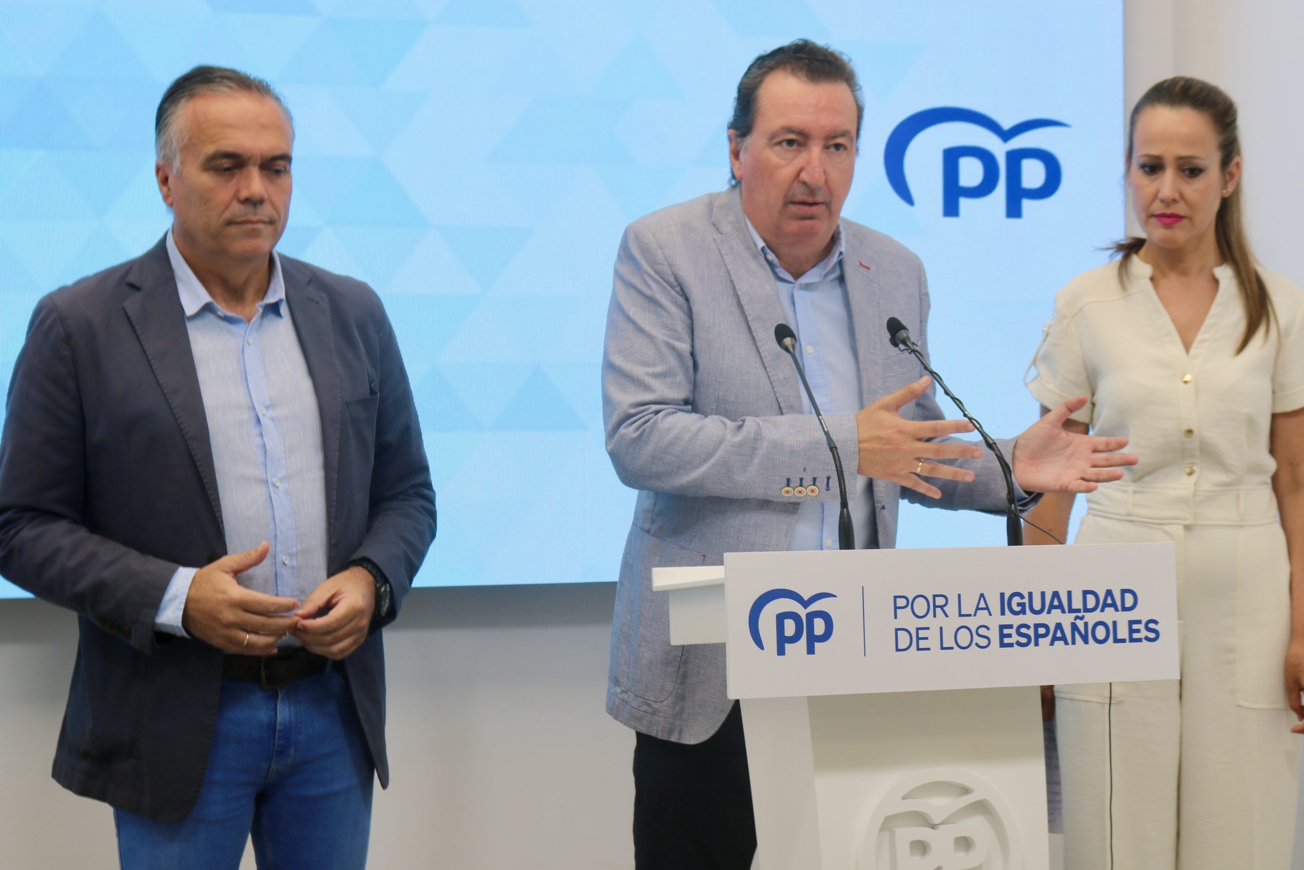 El PP lamenta la falta de asignación de proyectos de Hidrógeno Verde en ...