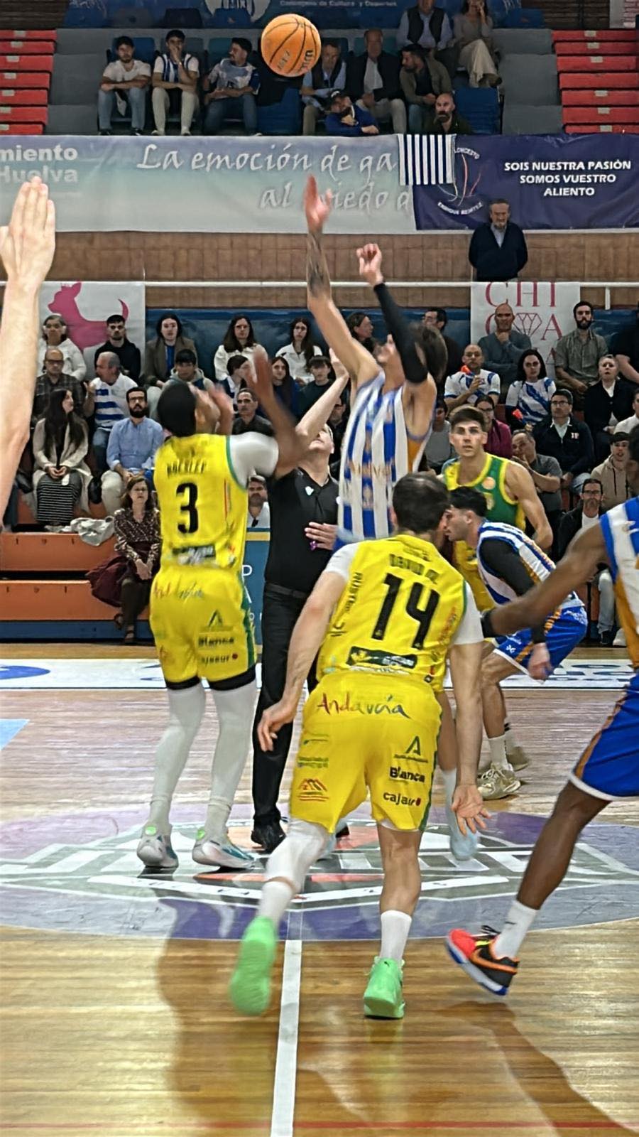 Huelva Comercio Viridis se juega la fase de ascenso este domingo ...